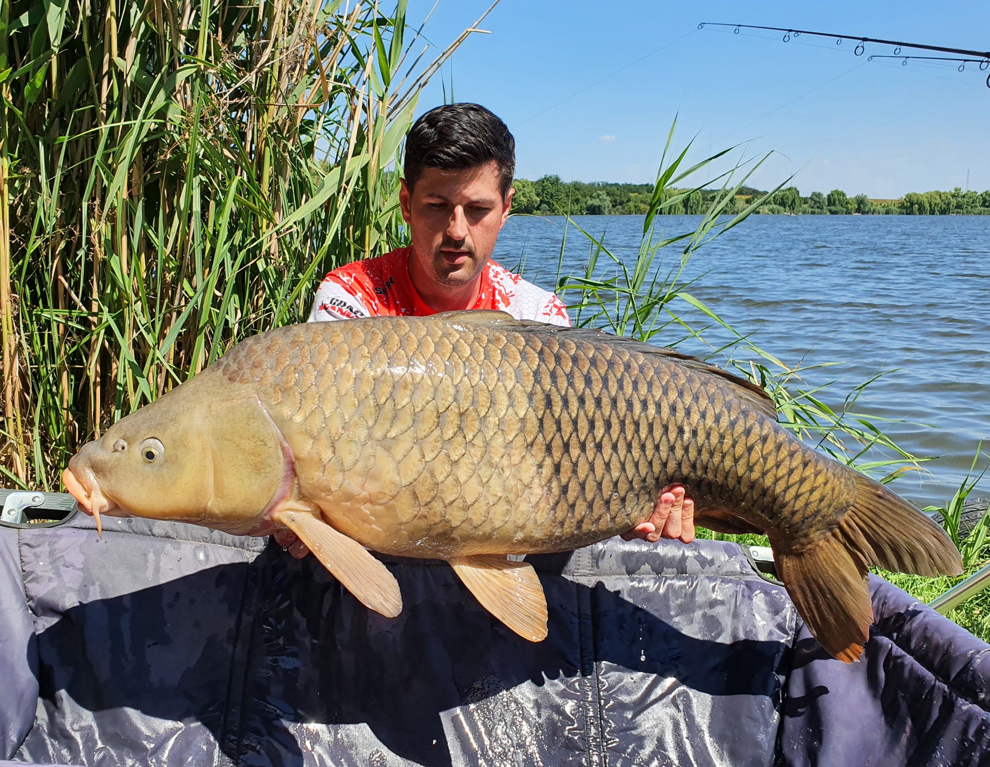 Tancabesti 9 - 12 iulie 2020 - 20200711153055.jpg